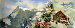 Ortler Ortler
